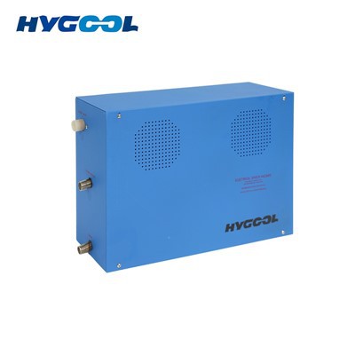 Steam Generator Portable